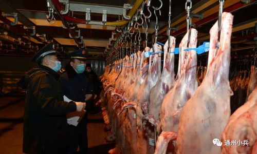 通州八里桥连夜检查未发现瘦肉精羊肉，确保畜禽产品安全