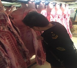 严控源头护餐桌 新城区胡家庙食品药监所开展生鲜肉批发市场突击检查，筑牢畜禽收购安全链
